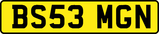BS53MGN