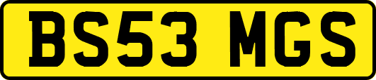 BS53MGS