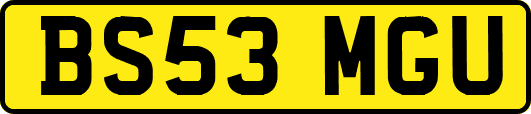 BS53MGU