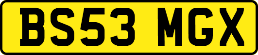 BS53MGX