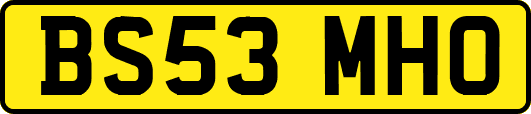 BS53MHO