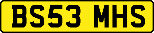 BS53MHS