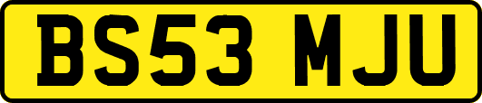 BS53MJU