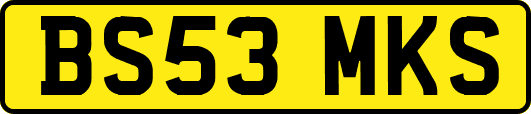 BS53MKS