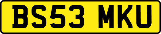 BS53MKU
