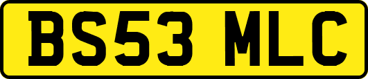 BS53MLC