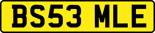 BS53MLE