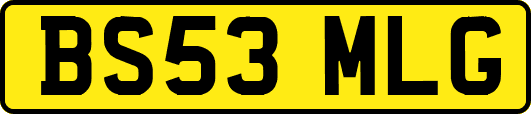 BS53MLG