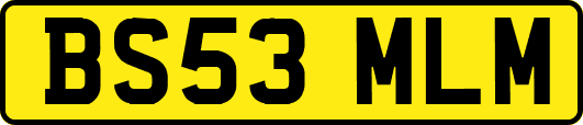 BS53MLM