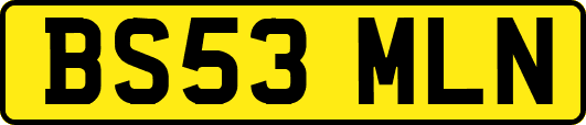 BS53MLN