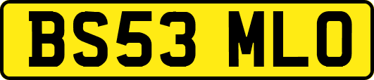 BS53MLO