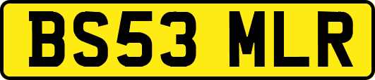 BS53MLR
