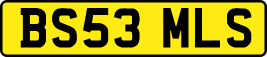 BS53MLS