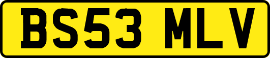 BS53MLV