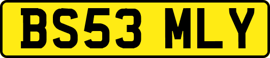 BS53MLY
