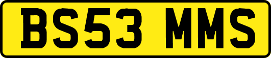 BS53MMS