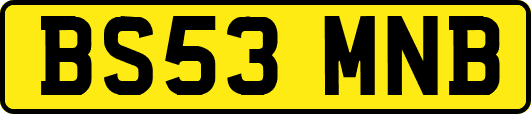 BS53MNB