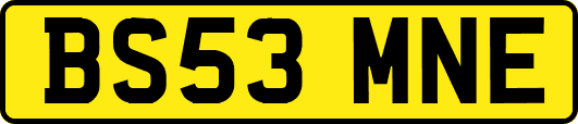 BS53MNE