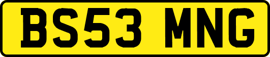 BS53MNG