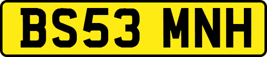 BS53MNH