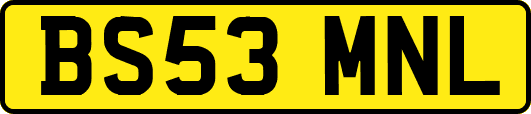 BS53MNL