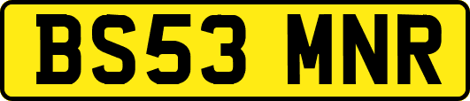 BS53MNR