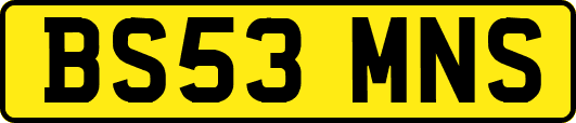 BS53MNS
