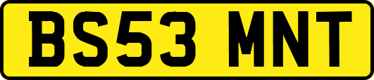 BS53MNT