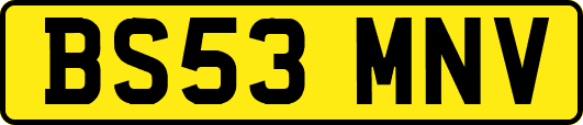 BS53MNV
