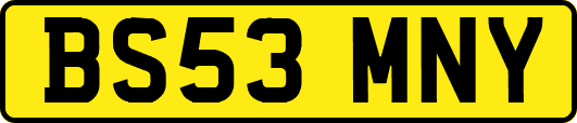 BS53MNY