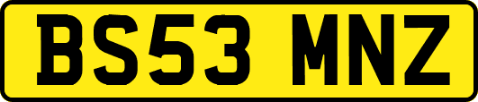BS53MNZ
