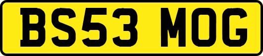 BS53MOG