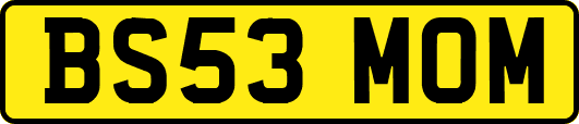 BS53MOM