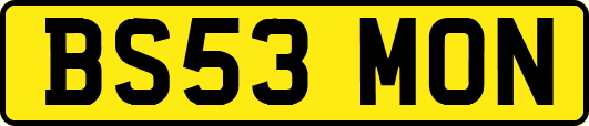 BS53MON