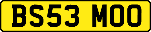 BS53MOO
