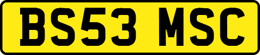 BS53MSC