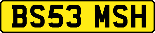 BS53MSH