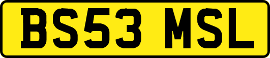 BS53MSL