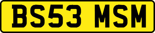 BS53MSM