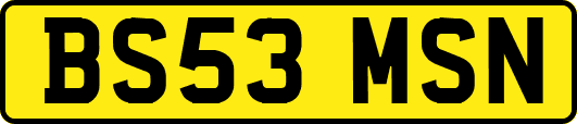 BS53MSN