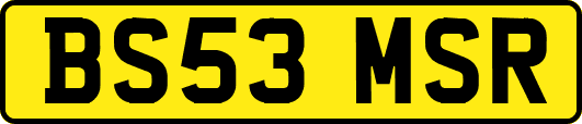 BS53MSR