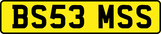 BS53MSS