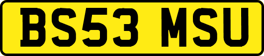 BS53MSU
