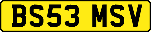 BS53MSV