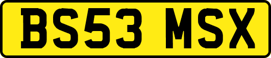 BS53MSX