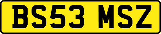 BS53MSZ