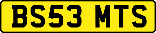 BS53MTS