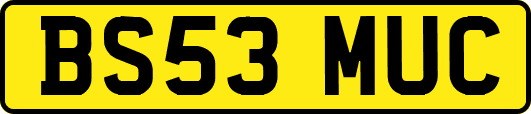 BS53MUC