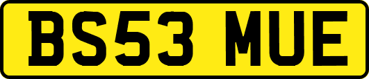 BS53MUE