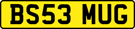 BS53MUG